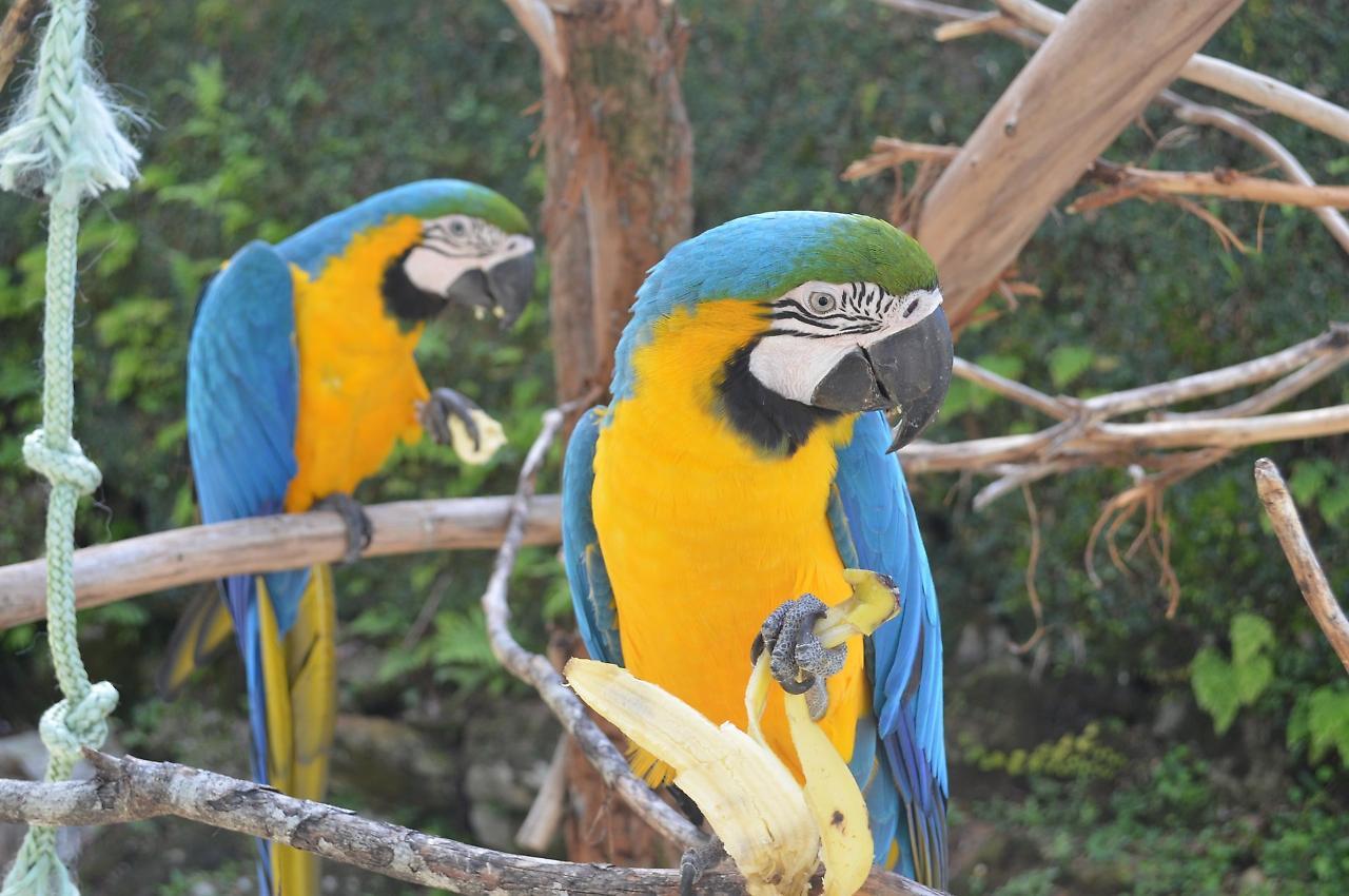 Pousada Tere Parque Teresopolis Exterior photo